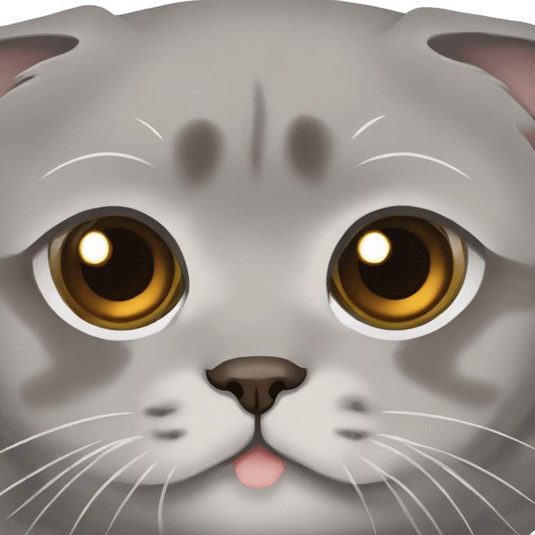 Grey Scottish fold with brown eyes  emoji