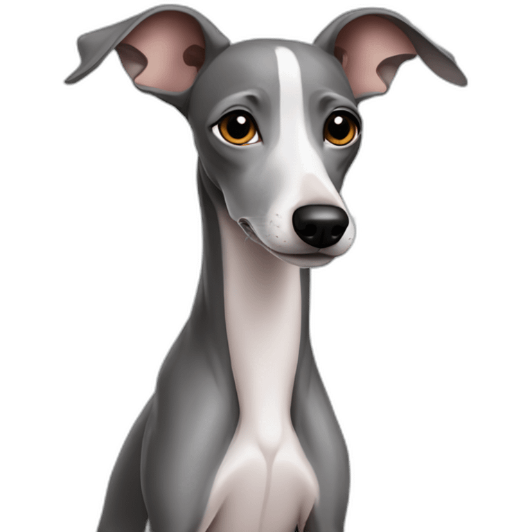 grey italian greyhound emoji