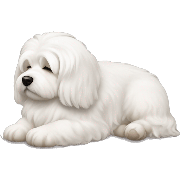 Coton de tulear dog sleeping emoji