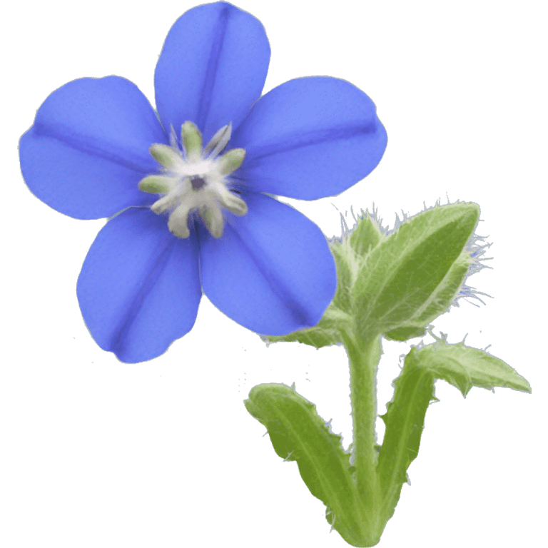 borage flower emoji