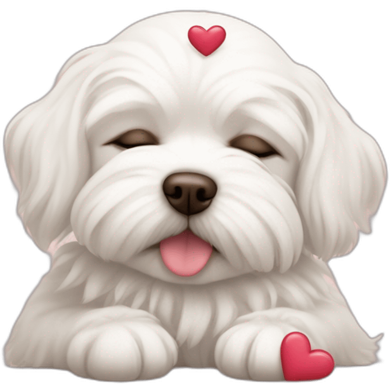 Sleeping dog maltese with hearts around the head emoji