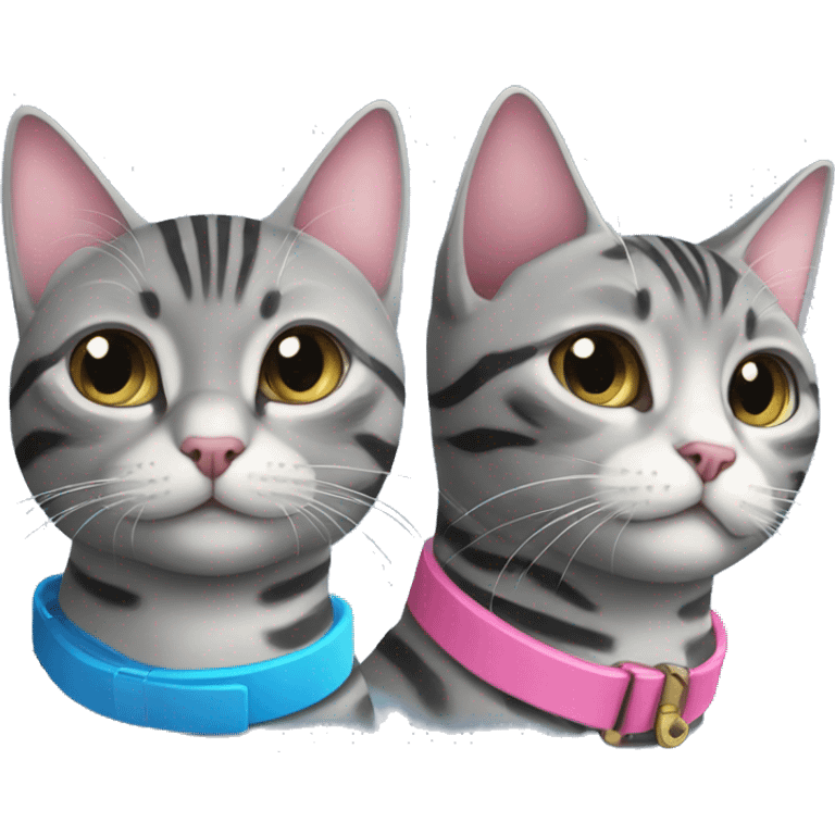 Grey tabby cat with blue collar and black tabby cat with pink collar  emoji