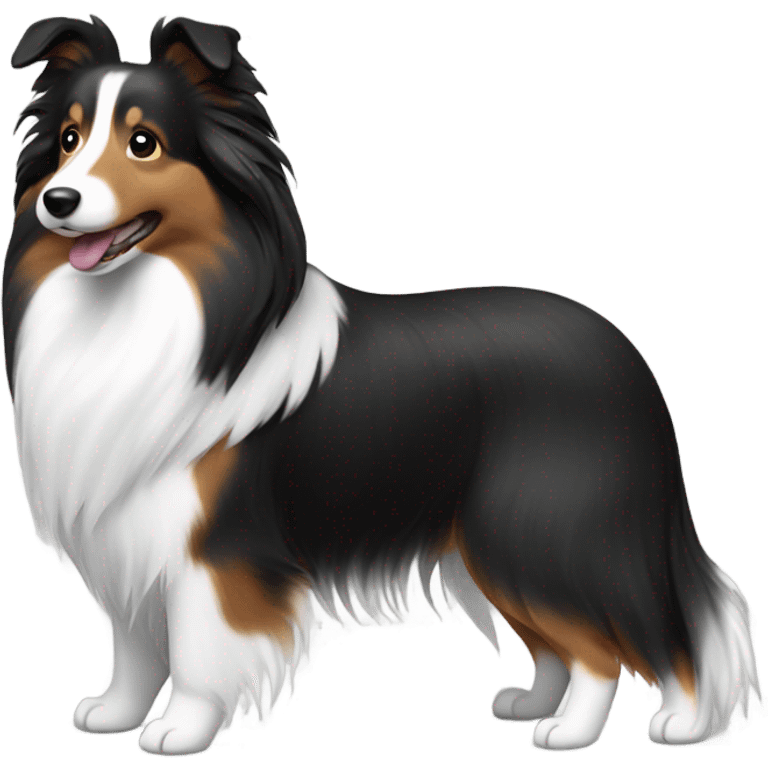 Black and white Sheltie  emoji