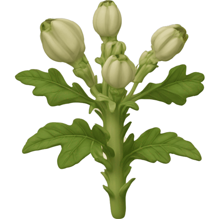 Henbane emoji