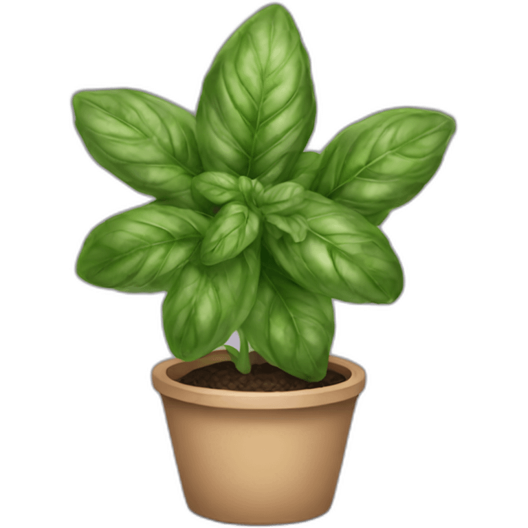 basil emoji