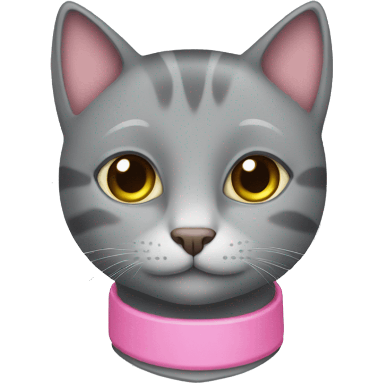 grey cat with pink collar  emoji