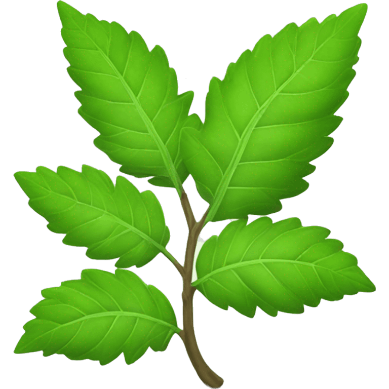 Indian tulsi plant emoji green emoji