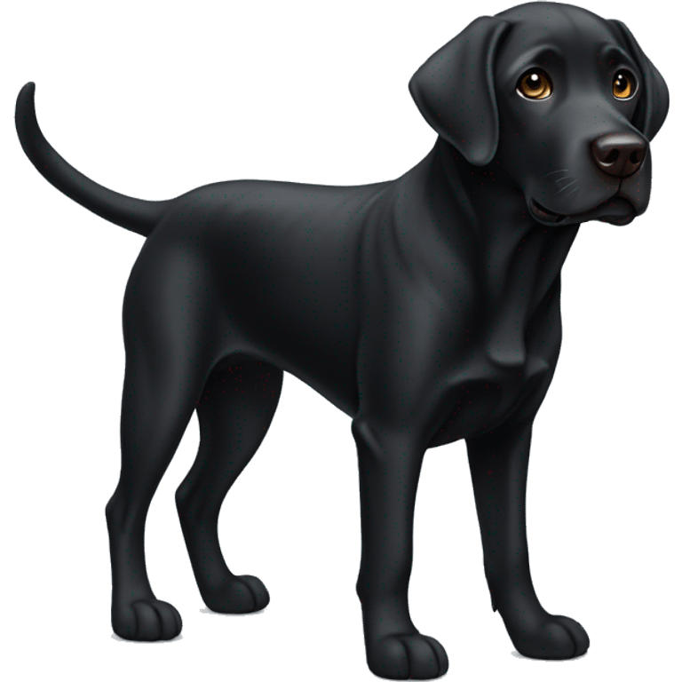 Black Labrador with 3 legs emoji