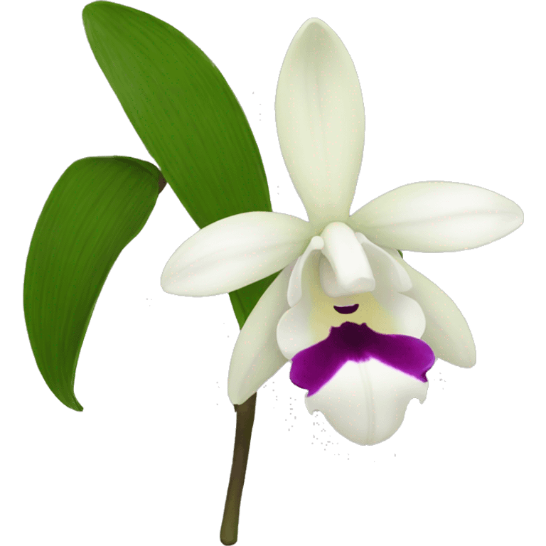 Dendrobium emoji