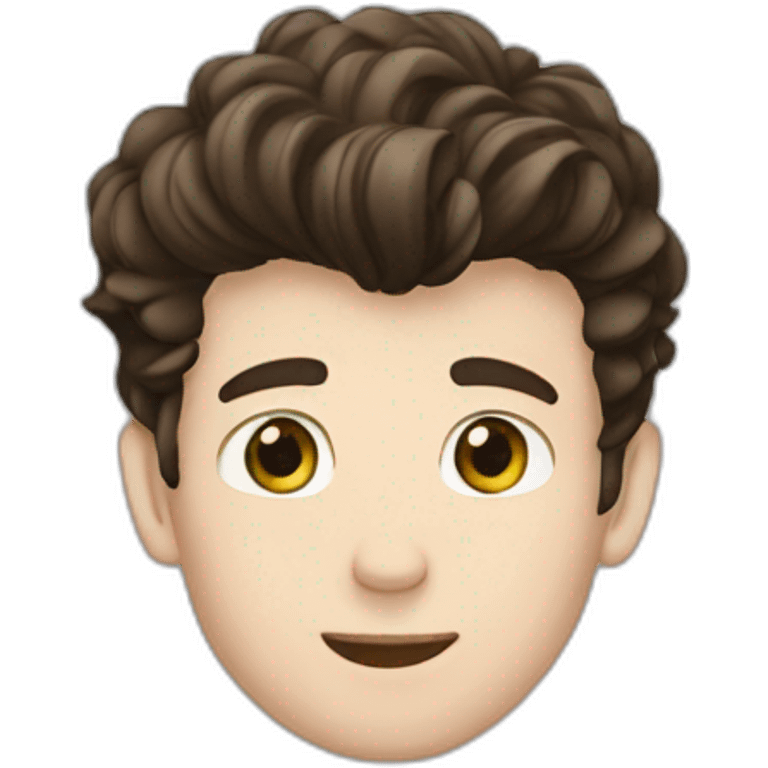 Shawn mendes emoji