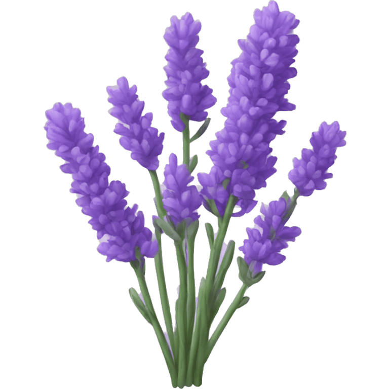 Lavender emoji