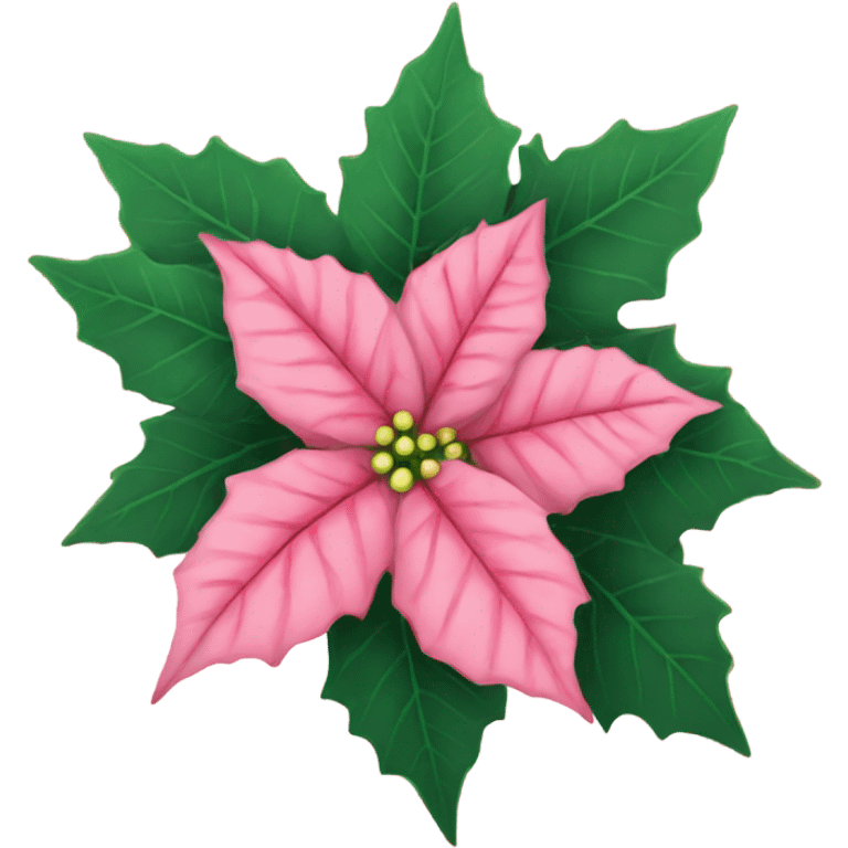 Pink poinsettia  emoji