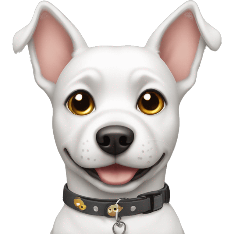 dog with a collar that says LULU emoji