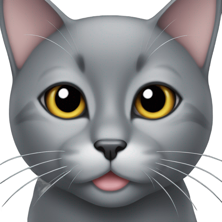 Black cat with white chin emoji