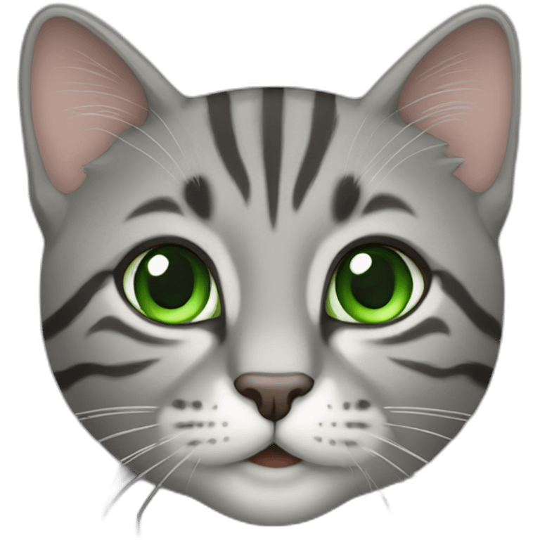 Gray Tabby cat with green eyes emoji