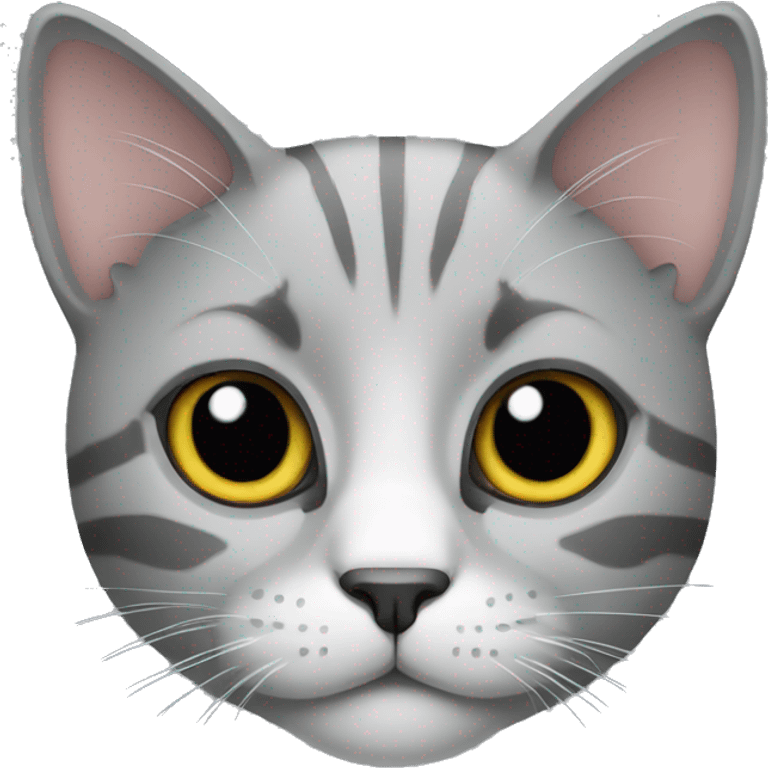 cat gray emoji