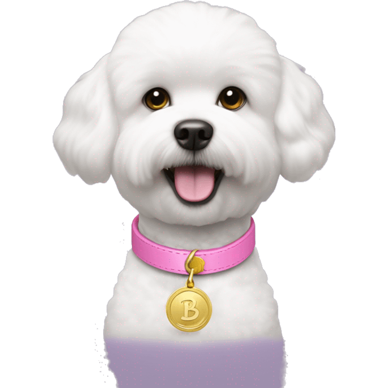 bichon dog wearing a pink collar with a gold coin shaped tag hanging from the collar emoji