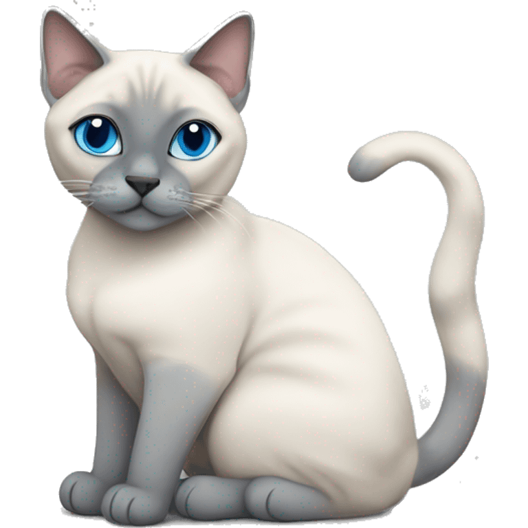 Fat Blue Tabby Point siamese cat love around emoji