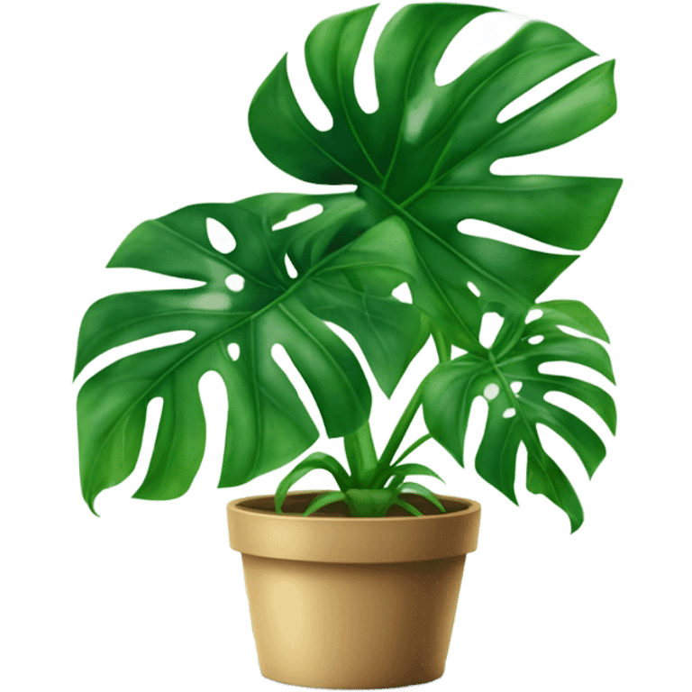 Monstera emoji