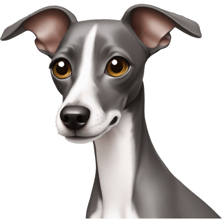 Italian greyhound emoji