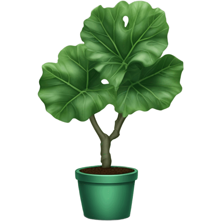 Fiddle leaf fig emoji