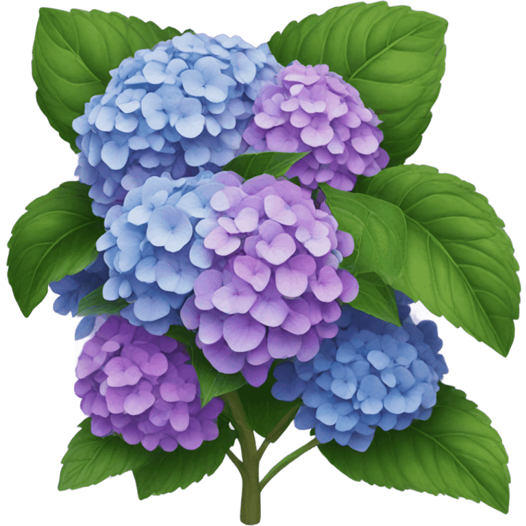 Hydrangea bush emoji