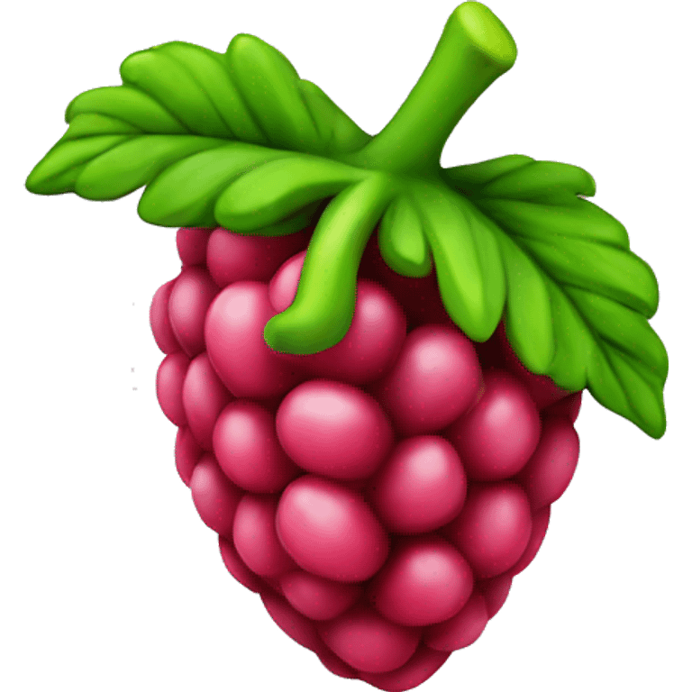 3D Rasberry emoji