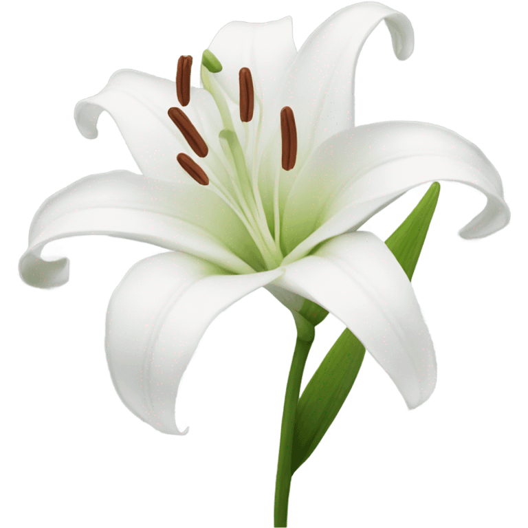 Lily flowers white  emoji