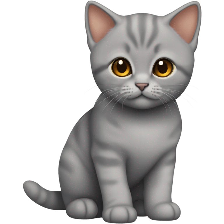 British shorthair kitten emoji