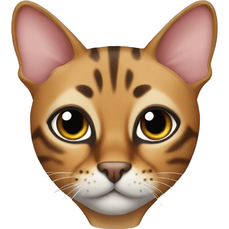 Bengal cat  emoji