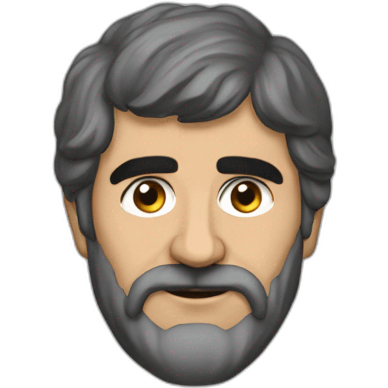 hrant toxatyan emoji