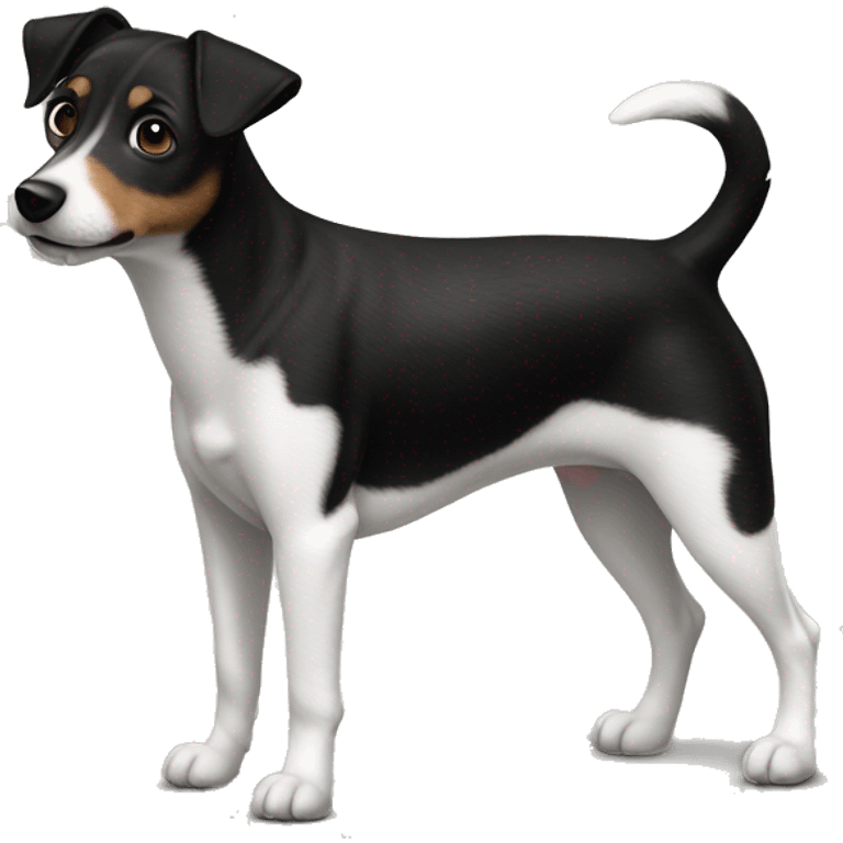 Black dog Jack Russell Terrier full body emoji