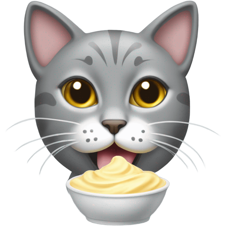 Gray cat eating mayonnaise  emoji