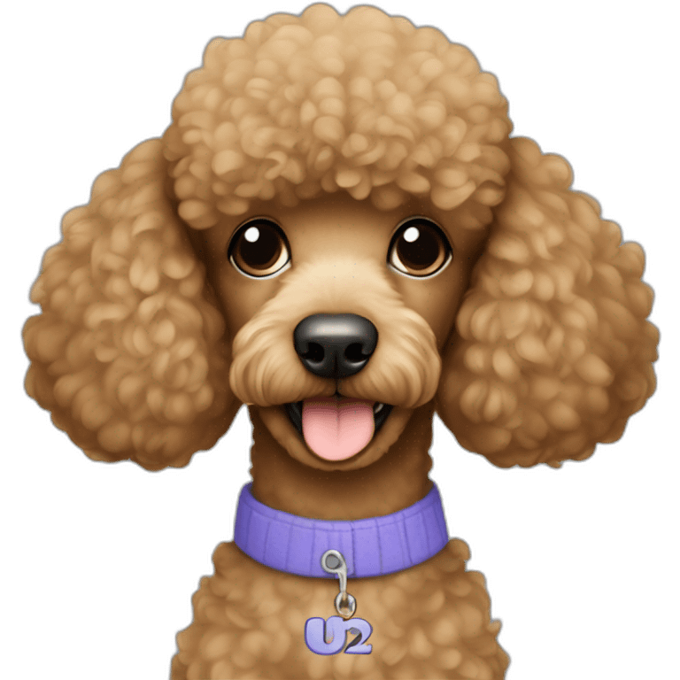 Light brown poodle wearing a t-shrit with the text U2 emoji