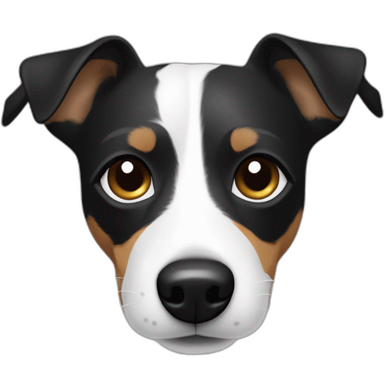 Jack Russell noir et blanc avec une tache noir sur l’œil emoji