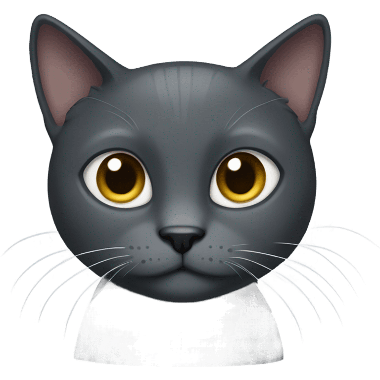 dark grey cat with a white belly  emoji