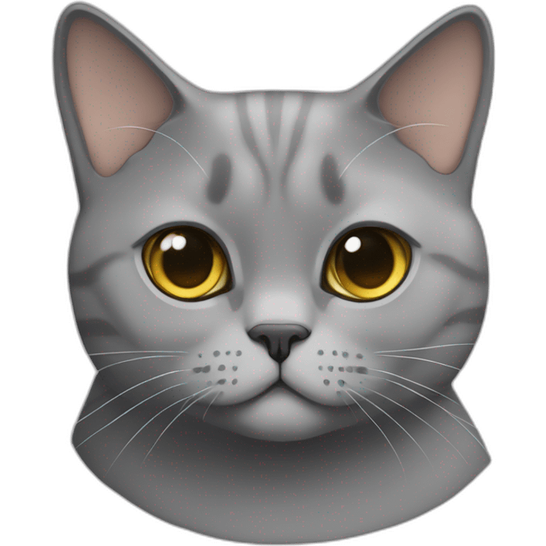 british shorthair cat with Pablo nametag emoji