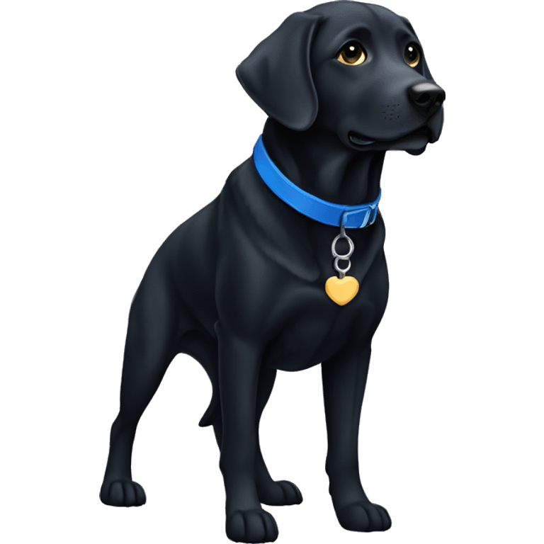 Lab retriever black with blue colar emoji