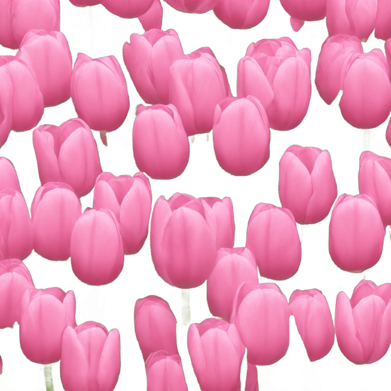 pink tulip emoji