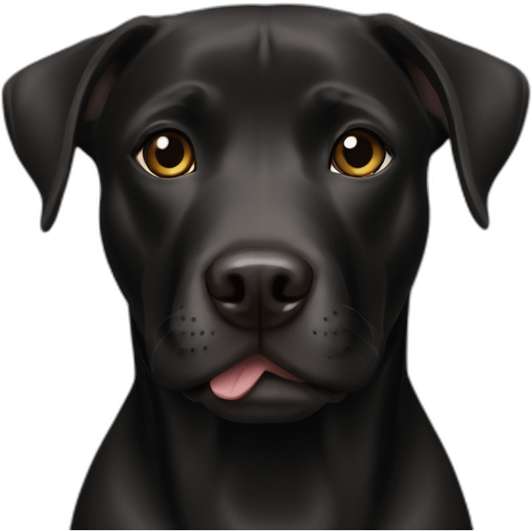 Black labrador pitbull mix emoji