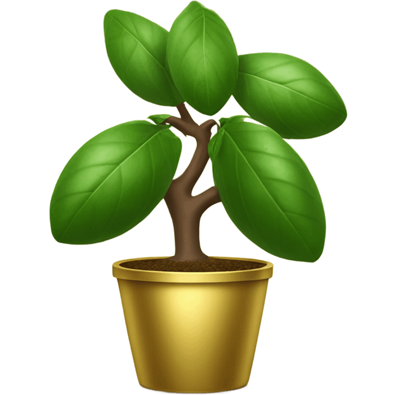 Avocado tree in gold pot emoji