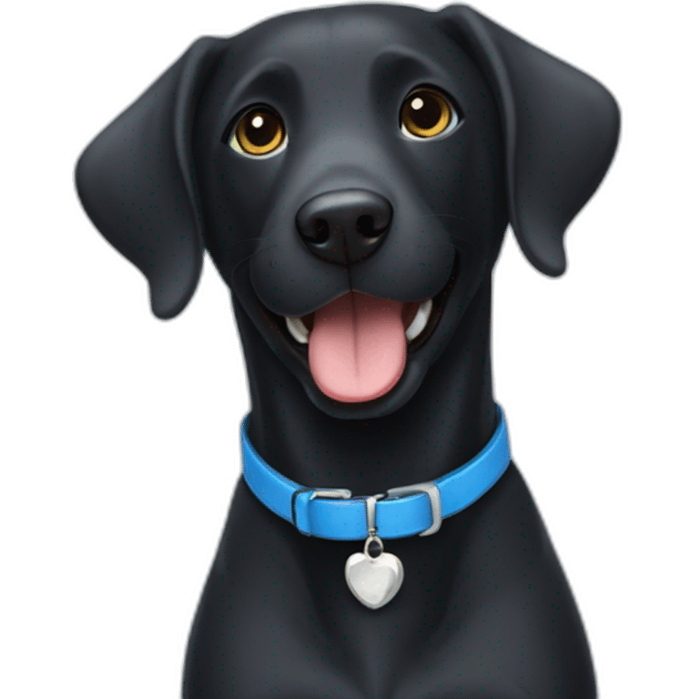 Happy Black Labrador wearing a blue collar with a bone shaped name tag emoji