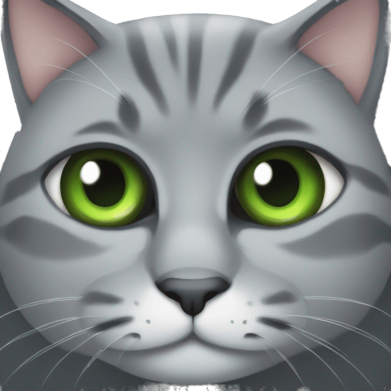 fat grey cat with green eyes emoji