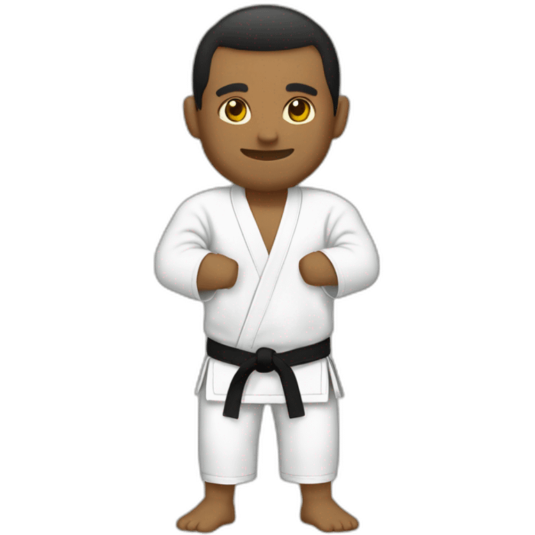 Jiujitsu emoji