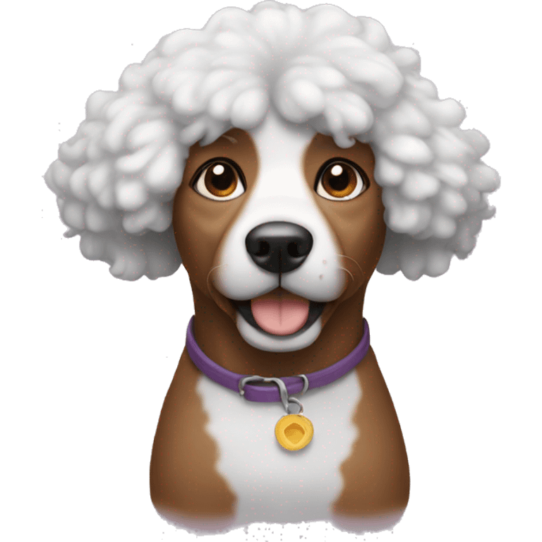 Dog with Afro  emoji