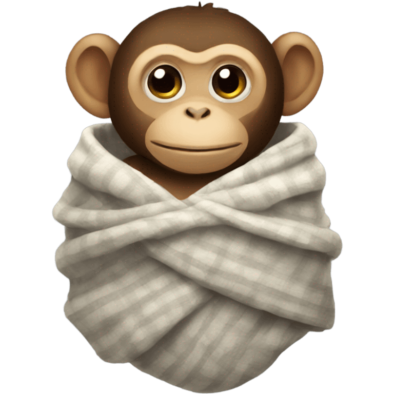 monkey in blanket  emoji