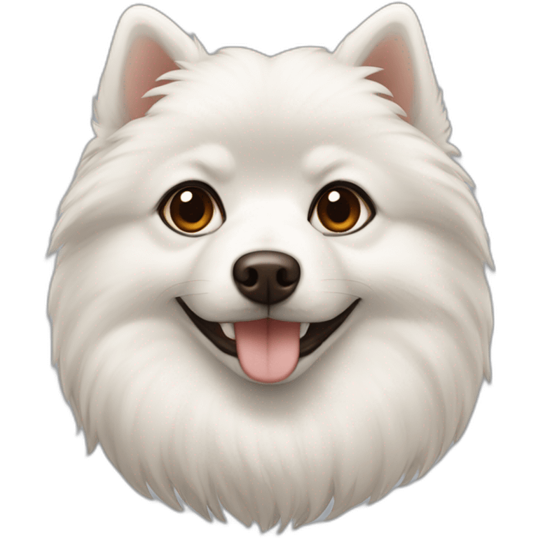 Japanspitz weiß dunkelbraune augen emoji