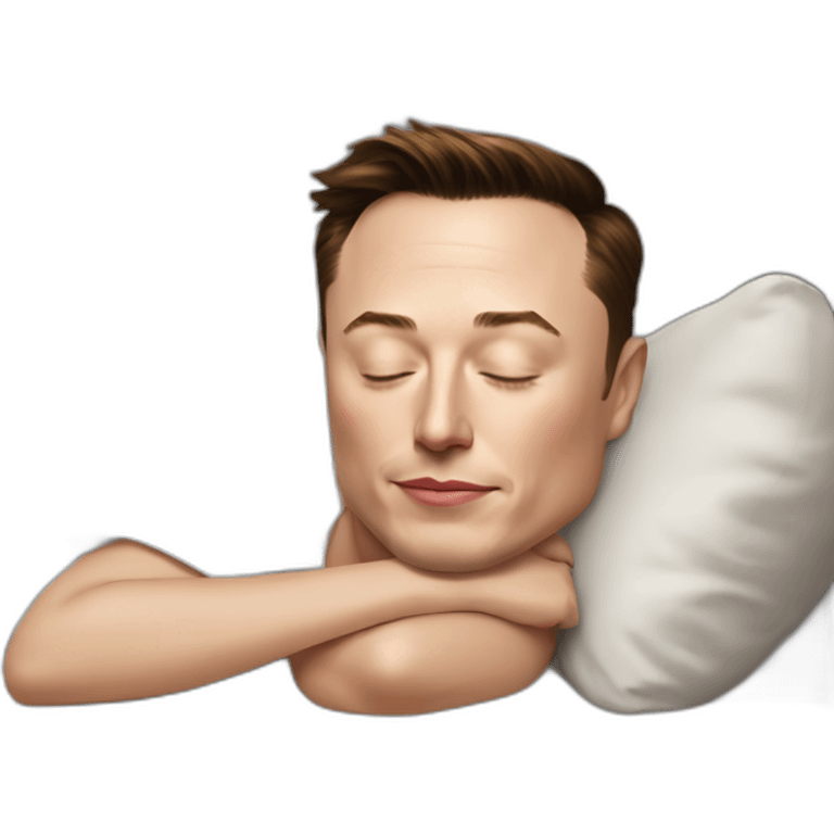 Elon Musk sleeping at Rihanna appart emoji