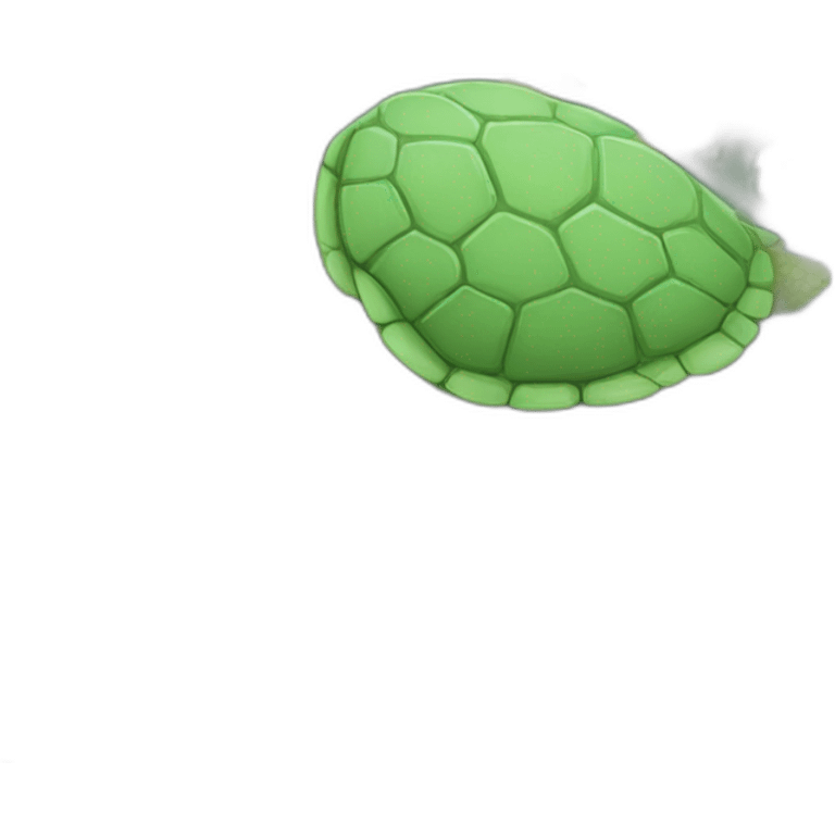 tortue  emoji