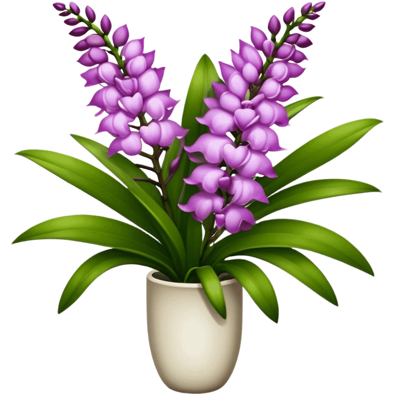 super big bouquet Rhynchostylis Orchid, stem, leaf emoji